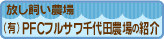 (L)PFCtTc_ɂ